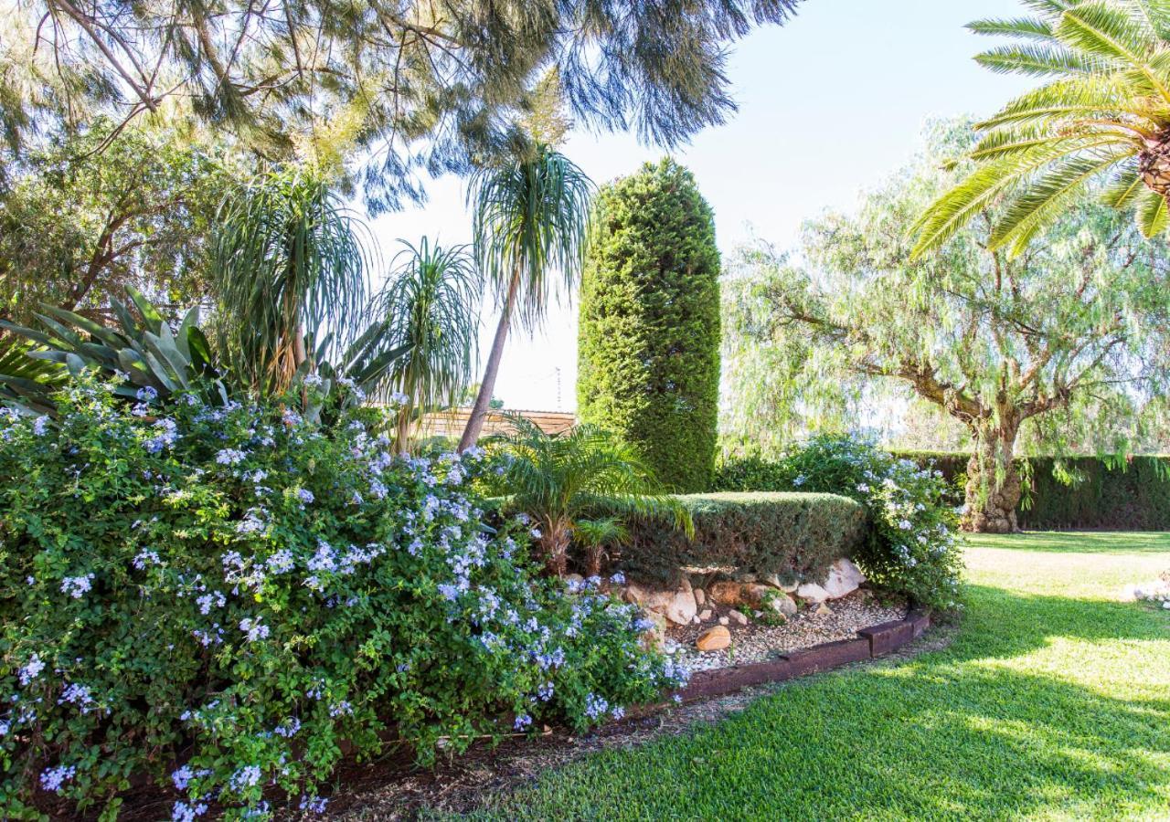 הוילה דניה Casa Segaria מראה חיצוני תמונה